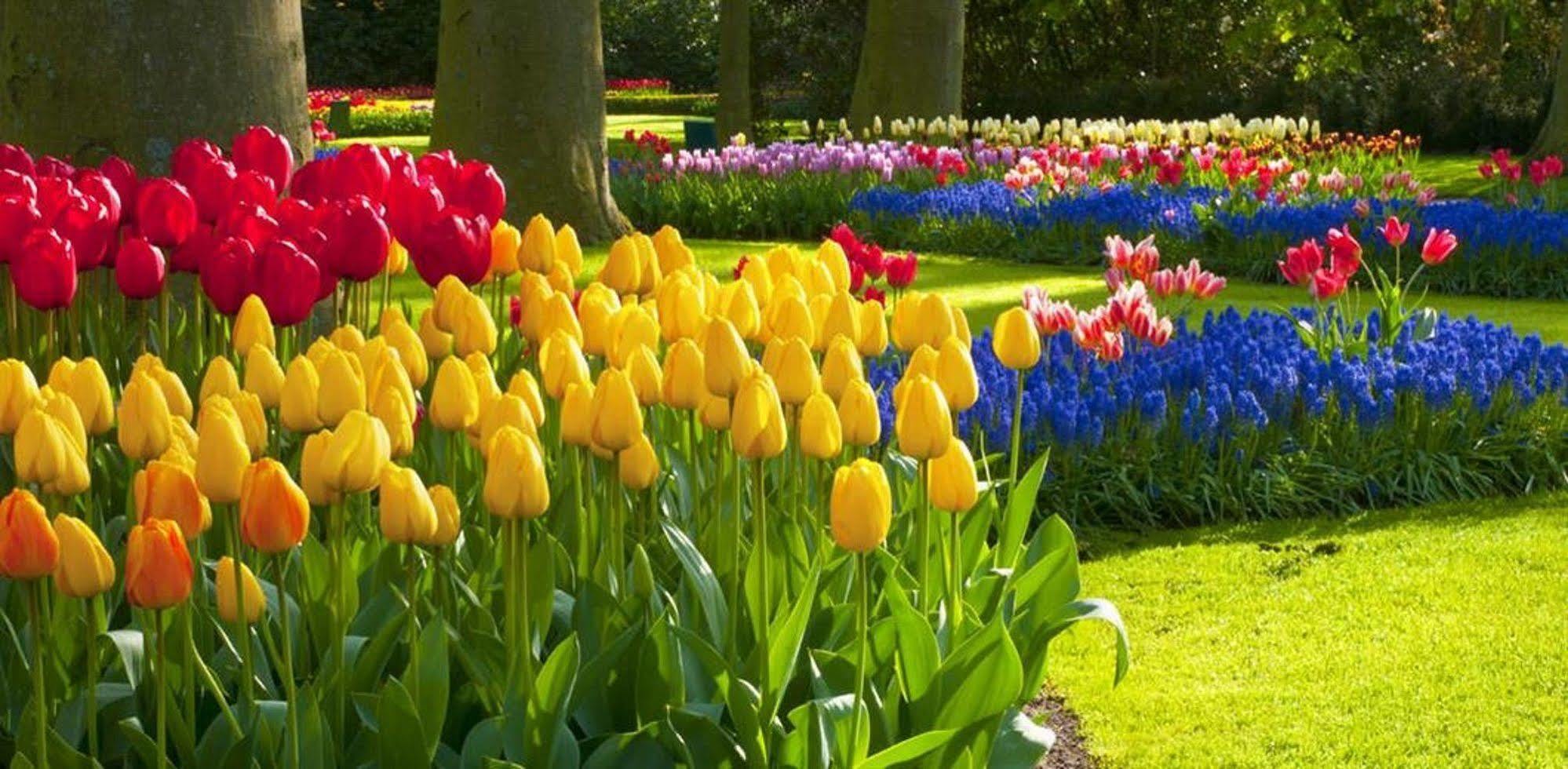 Milton Park Country House Hotel & Spa Bowral Buitenkant foto